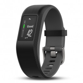 Garmin vivosport slate large hot sale