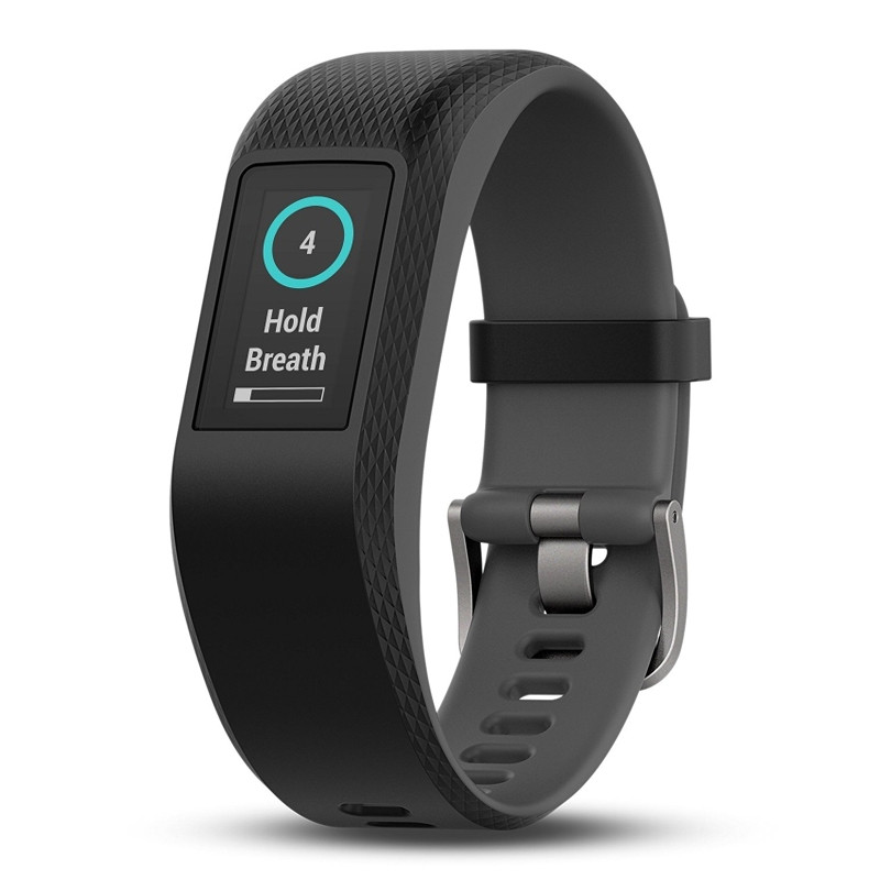 Garmin large sales vivosport slate