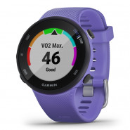 Zegarek sportowy Garmin Forerunner 45S Iris