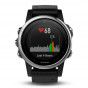 Zegarek Garmin Fenix 5S Silver with Black Band