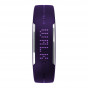 Opaska fitness Polar Loop Blackcurrant